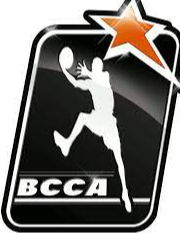 https://img.liuwenwu188.com/img/basketball/team/86eb4908777714248caec71cbbc0c7db.png