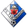 https://img.liuwenwu188.com/img/football/team/9bbddc3094f6c80a766e3c3eea4e5876.png