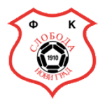 https://img.liuwenwu188.com/img/football/team/b71b7bfab3d42c691e953977143504e5.png