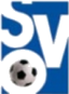 https://img.liuwenwu188.com/img/football/team/bba032c8ab82910e75fe192513721385.png